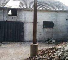 Suppression du chien assis