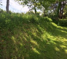 Un autre talus partiellement coupé la semaine dernière.