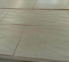 Changement de carrelage pour les wc ... les autres dispo que dans 7 jours  , mon père serait parti ( c'est lui qui pose)