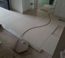 Le carrelage de l'entrée est du NEXO GRESPANIA en 60x60 beige. Très jolie rendu !!