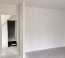 Sous-couche + peinture plafonds