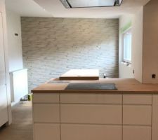 Cuisine en blanc laqu&eacute; avec tous les plans de travail en bois
Electros AEG