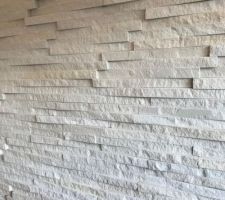 Mur de la cuisine en briquettes beiges AEG