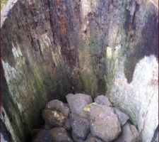 Le tronc, vide naturellement : quelques pierres sont mises au fond