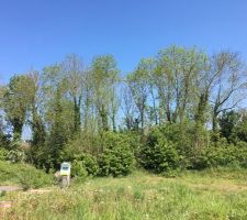 Voici la première photo du terrain dans l'état