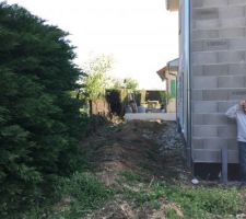 Haie de derrière la maison en cours de suppression