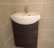 Meuble lave main wc