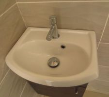 Meuble lave main wc avec bouton poussoir