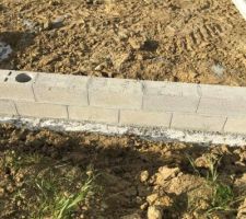 Début vide sanitaire - zoom