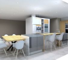 Futur cuisine mais sans les bonnes couleurs...surprise...
