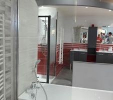 Paroi de douche de la baignoire