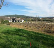 L'acc&egrave;s va s'effectuer dans le champ de vigne.