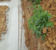 Nous constatons que le terrasier na pas correctement fait le terrassement car les ouvriers n'ont pas de passage pourvoir poser les parpaings et un conducteur de travaux fantôme..?