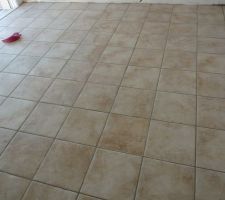 Les joints sont fais mais comme ils sont d'aujourd'hui ils ressortent fonc&eacute;