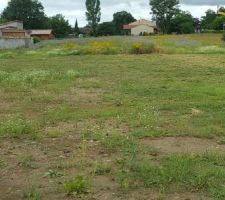 Coupe fil sur les 1467 m2 du terrain