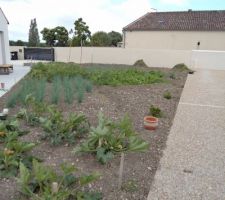 Premier printemps, premier potager en Charente ........