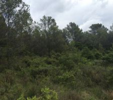 Alors oui, faut ce projeter .... mais ici se tiendra un lotissement de 15 maisons...