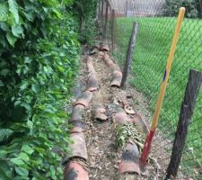 Future zone de plantation