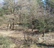 Vue depuis le terrain en face