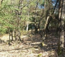 Milieu du terrain, vers le haut