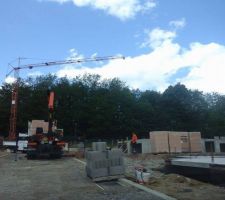 Les briques sont livr&eacute;es. Annoncerait-ce le retour du ma&ccedil;on parti depuis 3 semaines maintenant?