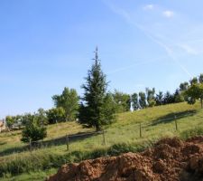 Vue c&ocirc;t&eacute; Sud depuis notre terrain