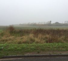 Premi&egrave;re visite du terrain