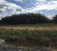 Le terrain en attente du permis de construire