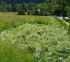 Ça y est, le terrain est à moi : un coup de faux pour mettre la tente.