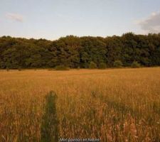 Future vue du salon et de la salle &agrave; manger : zenitude