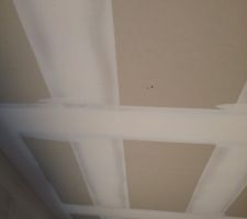 Un spécimen d'épluchures au plafond parmi d'autres. Bizarrement les murs sont nettement plus sain, certainement un champignon qui aime la chaleur des plafonds.
