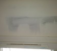 Le plâtre sauteur dans la grille de ventilation en à rendu bleu cette dernière :( Des fenêtres sont aussi touchés mais le docteur n'est toujours pas intervenu.