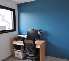 Bureau
Tollens Bleu Paons