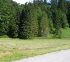 La prairie est fauchée : c'est peut-être bien la dernière fois que le paysan y coupe l'herbe.