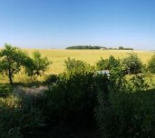 Panorama de la vue derrière la maison