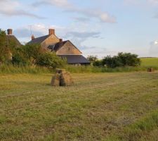 L'agriculteur a pressé son foin le terrain est tout propre