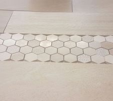 Mosaïque choisie pour la niche de la douche parentale