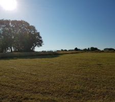 [Obsol&egrave;te] Vue sur l'Est, limite de parcelle.