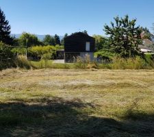 [Obsol&egrave;te] Vue depuis le milieu de la parcelle, &agrave; l'&eacute;ventuel angle sud de la futur maison, direction lac.