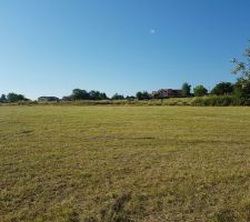 [Obsol&egrave;te] Vue Sud-Est, dos au lac, en limite de parcelle. Bient&ocirc;t, un chemin ici qui desservira le terrain de nos futurs voisin.