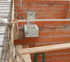 1er boiseau.... bient&ocirc;t le feu dans la chemin&eacute;e