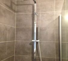 Faïence salle de douche / chambre parentale RDC