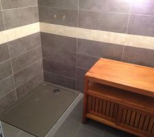 Faïence salle de douche / chambre parentale RDC