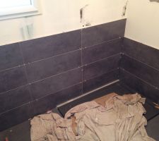 Faïence salle de douche / chambre parentale RDC