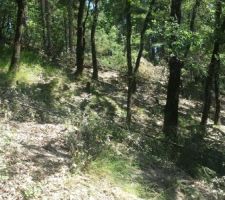 Le d&eacute;broussaillage avance