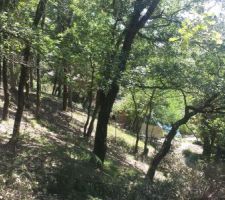 Le d&eacute;broussaillage avance