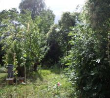 Voil&agrave; une des premi&egrave;res photos ! Il y a du boulot !!!