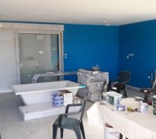 Suite peinture
Bleu RIPOLIN Abandon