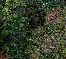 Le trou d'eau a reboucher