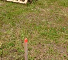 La borne ancienne, coin nord-est du terrain : deux cailloux pointus semi-enterrés.